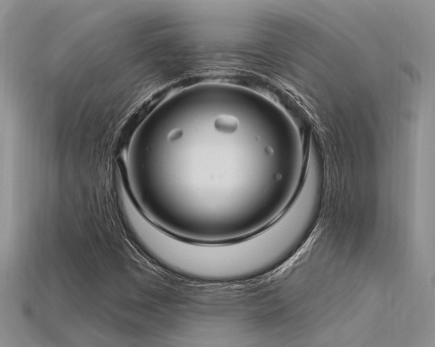 X0000115831449200911131455