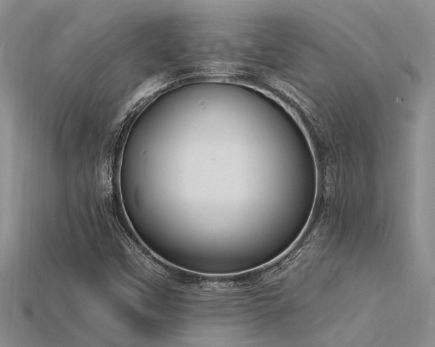 X0000115831451200911131455