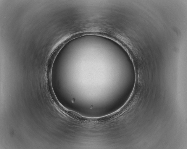 X0000115831452200911131455