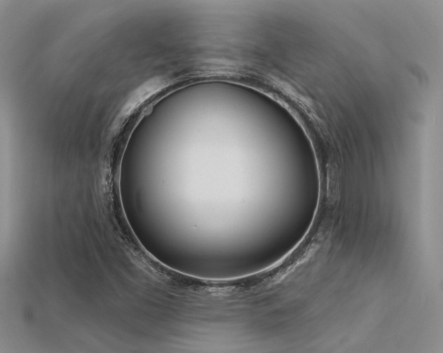 X0000115831453200911131455