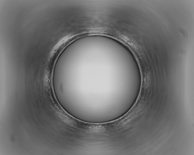 X0000115831454200911131455