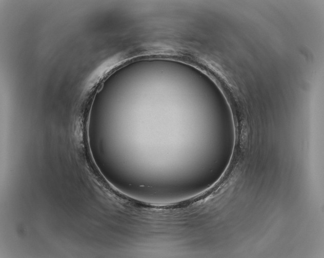 X0000115831455200911131455