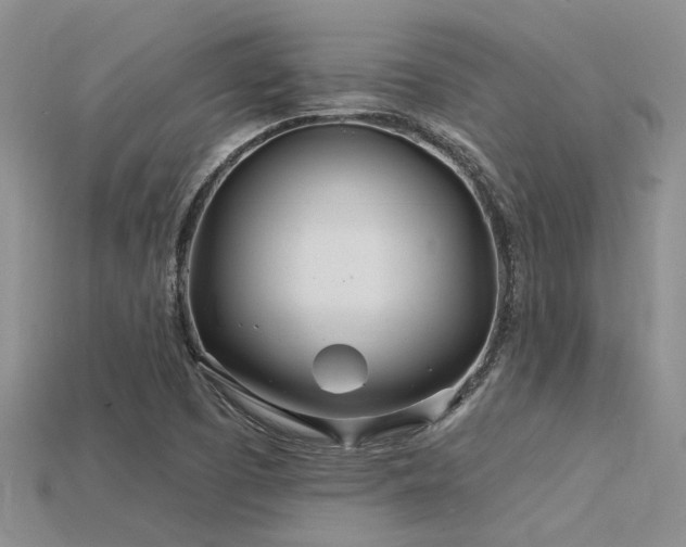 X0000115831457200911131455