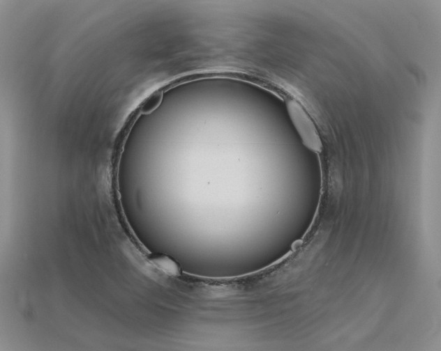 X0000115831460200911131455