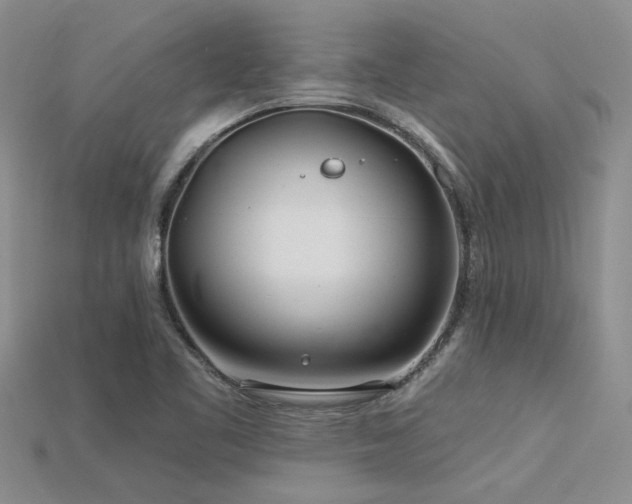 X0000115831461200911131455