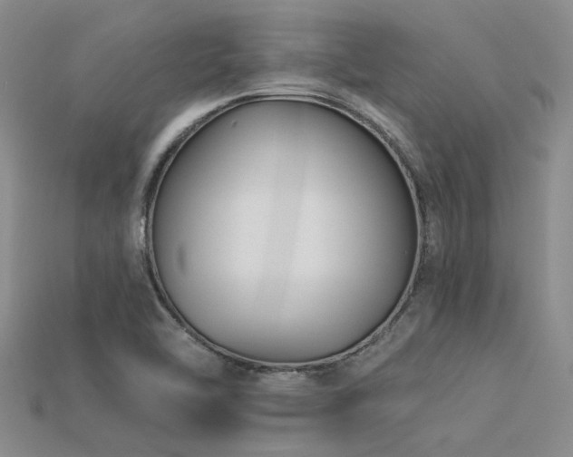 X0000115831462200911131455