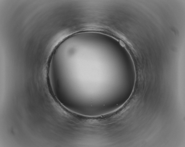 X0000115831463200911131455