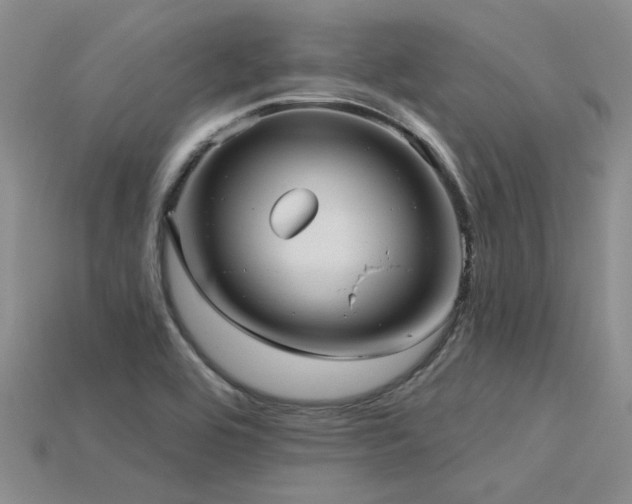 X0000115831464200911131455