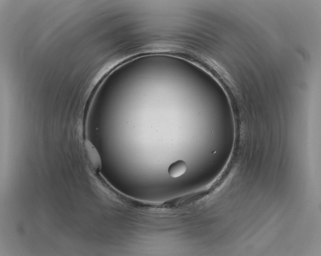 X0000115831465200911131455