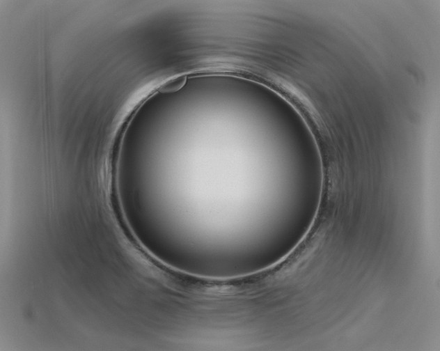 X0000115831467200911131455