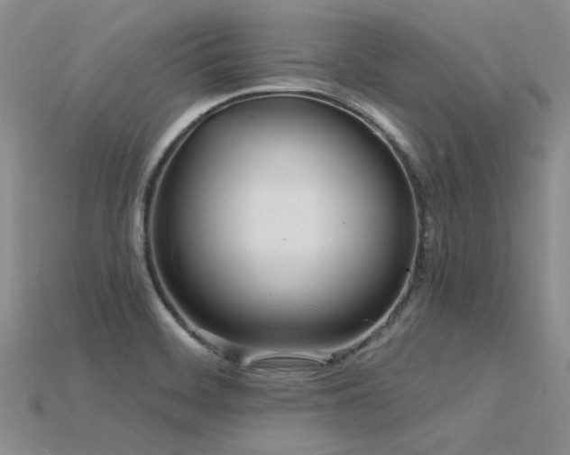 X0000115831468200911131455