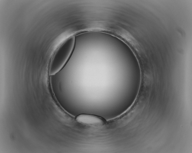 X0000115831469200911131455