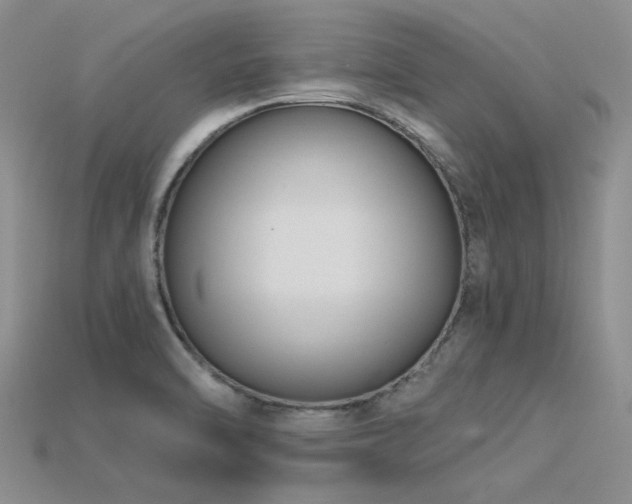 X0000115831470200911131455