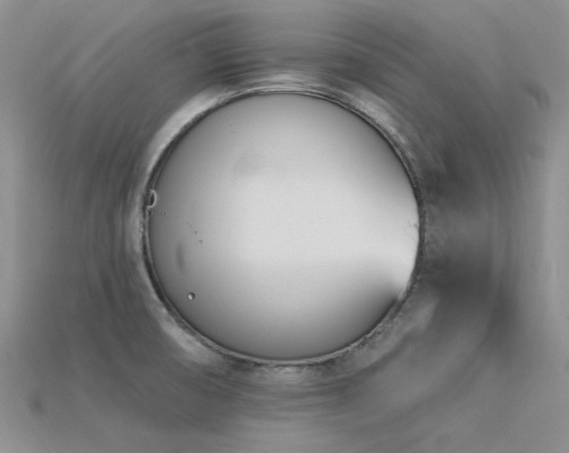 X0000115831474200911131455