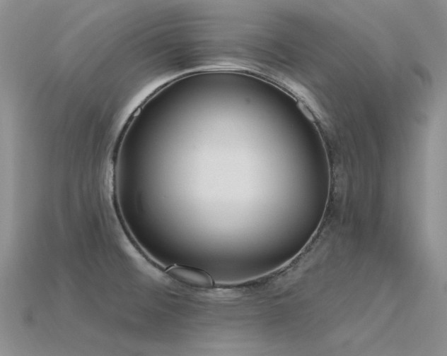 X0000115831476200911131455