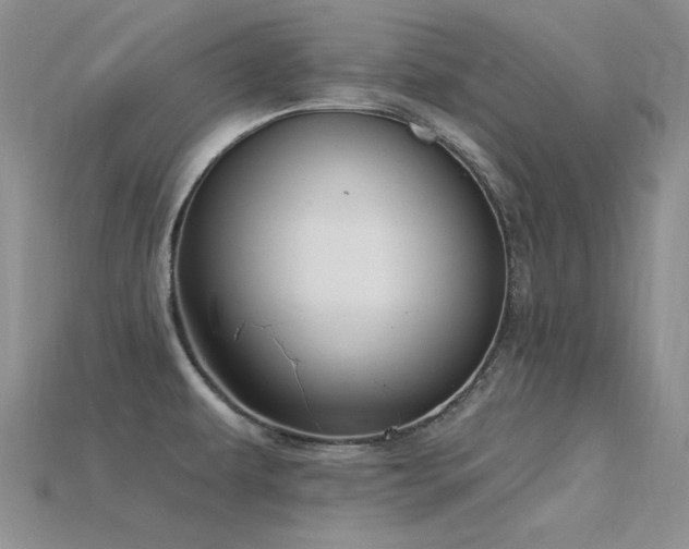 X0000115831479200911131455