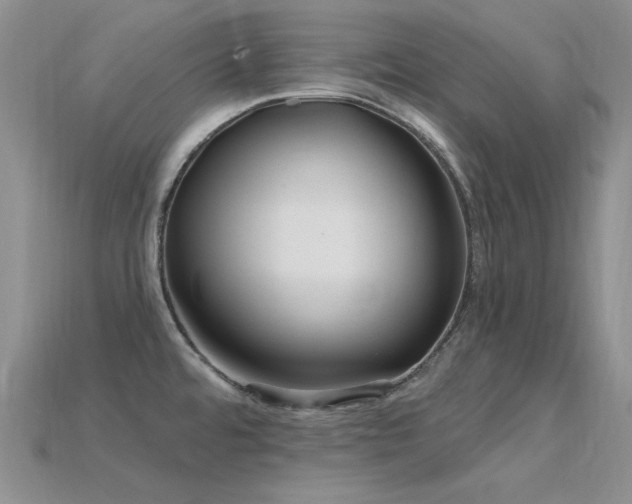 X0000115831480200911131455