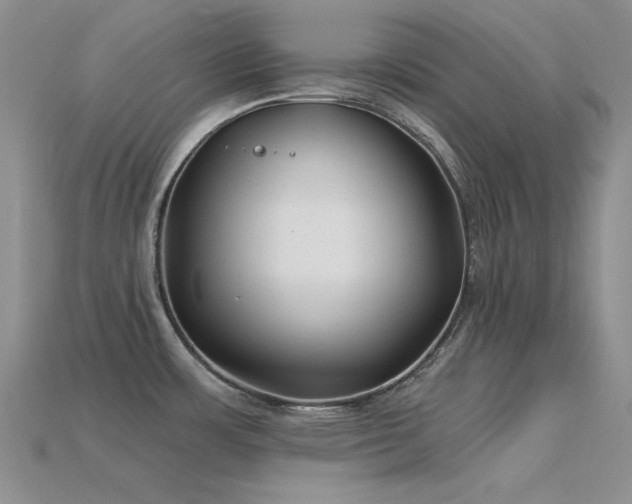 X0000115831483200911131455