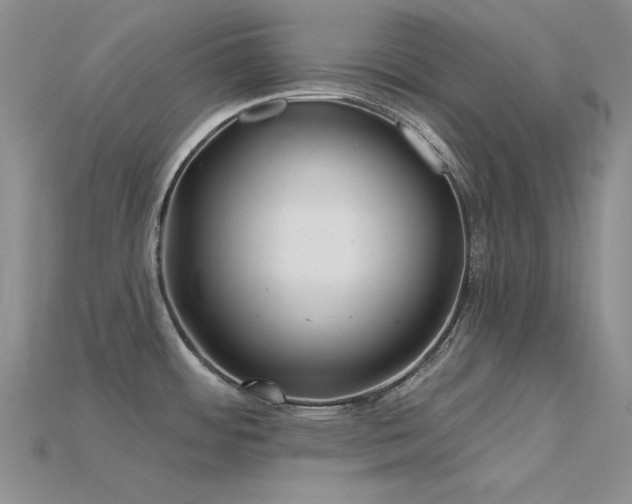 X0000115831484200911131455