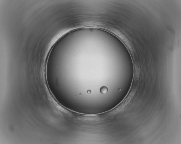 X0000115831486200911131455