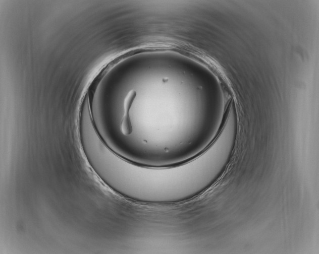 X0000115831488200911131455