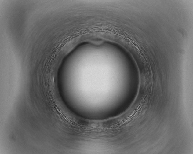 X0000115831489200911131454