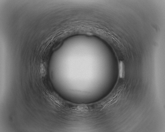 X0000115831491200911131454