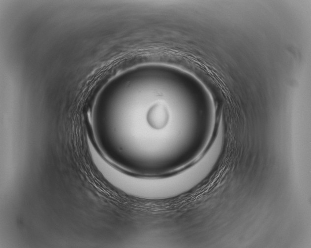 X0000115831493200911131454