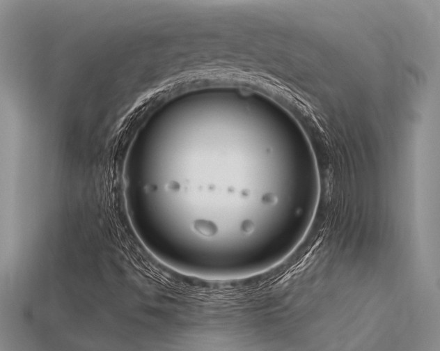 X0000115831494200911131454