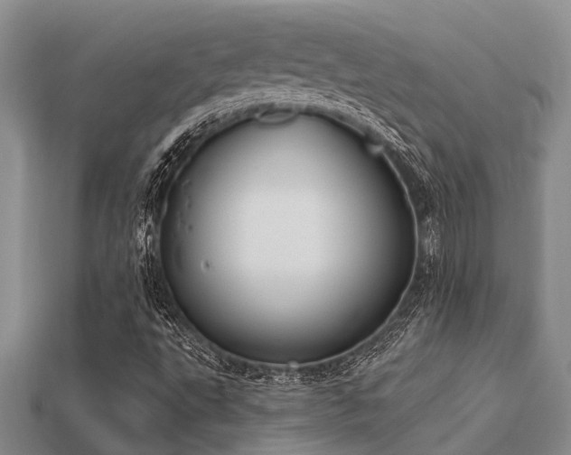 X0000115831495200911131454