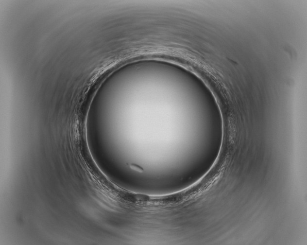 X0000115831497200911131454