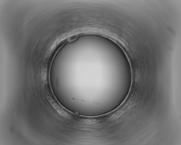 X0000115831499200911131454