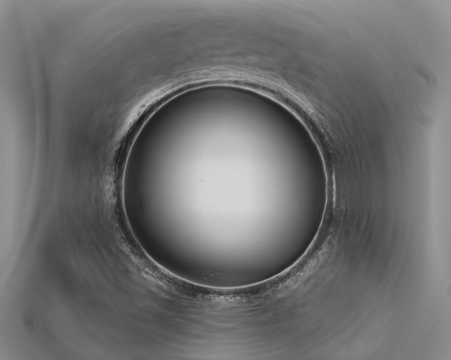 X0000115831501200911131454