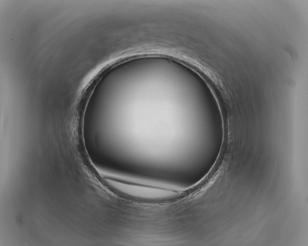 X0000115831502200911131454