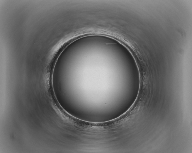 X0000115831503200911131454