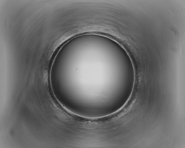 X0000115831505200911131454