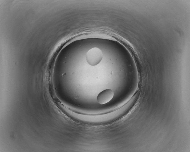 X0000115831506200911131454