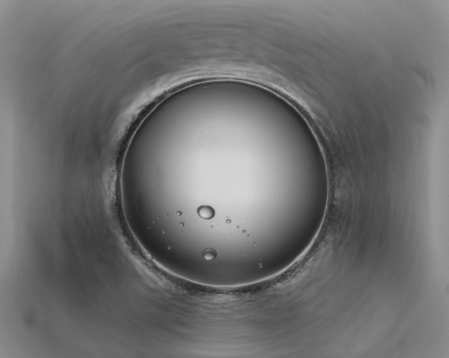 X0000115831507200911131455