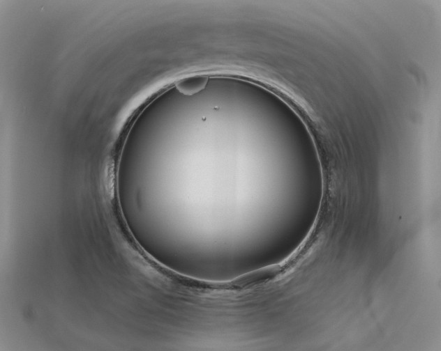 X0000115831510200911131455