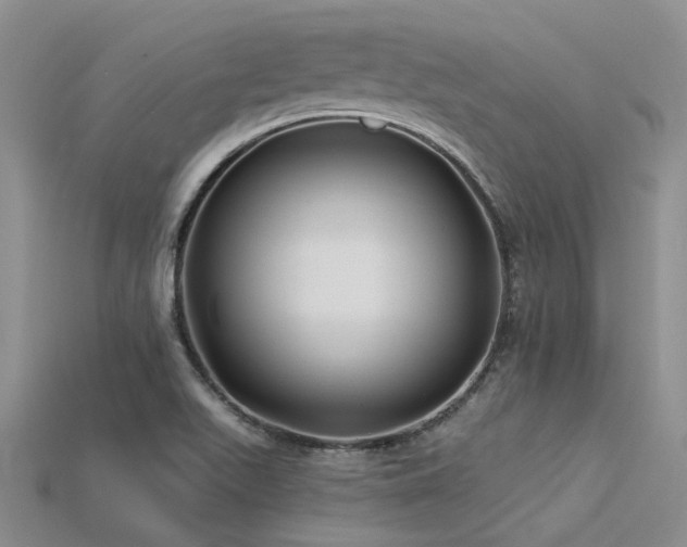 X0000115831511200911131455