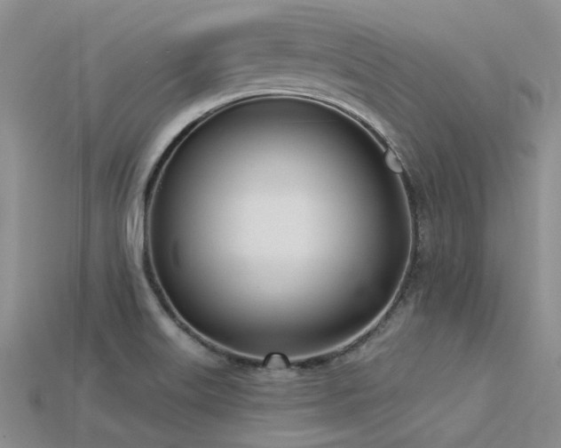 X0000115831515200911131455