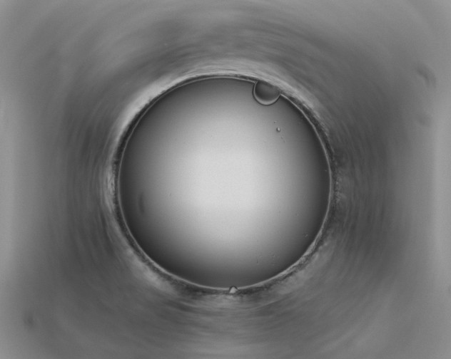 X0000115831517200911131455