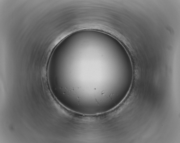 X0000115831521200911131455