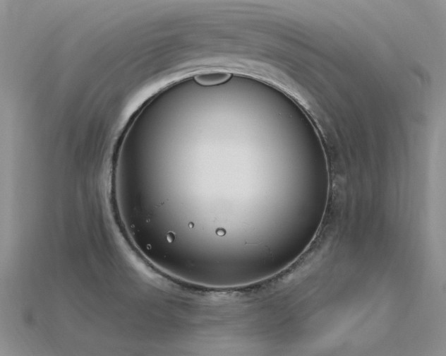 X0000115831523200911131455