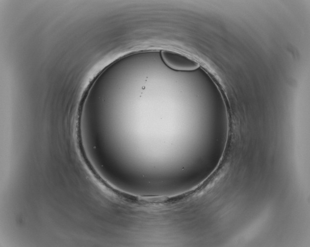 X0000115831525200911131455