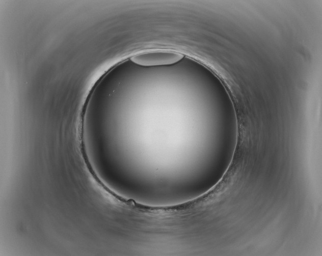 X0000115831527200911131455