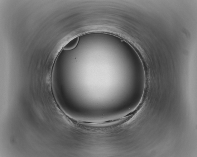 X0000115831529200911131455