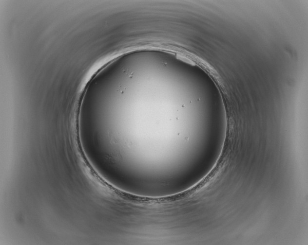 X0000115831530200911131455