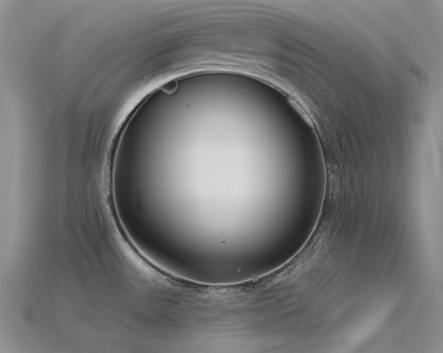 X0000115831531200911131455