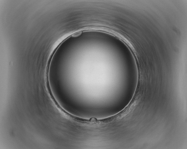 X0000115831533200911131455